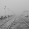 Foggy Boardwalk_Stephanie Gamba_Assigned A Bad Weather_Equal Merit