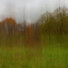 Autumn Rain_Arlene Sopranzetti_Assigned A Landscapes_Honorable Mention