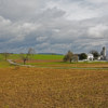 Hay Bales_Arlene Sopranzetti_Assigned A Landscapes_Honorable Mention