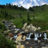 Summer At Mt Rainer_Brenda Calinawan_Assigned B Landscapes_Honorable Mention