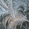 Frost Pattern_Ron Denk_Assigned Salon Water_Equal Merit