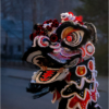 Lion Dancer in Black_Ellen Stein_Open Salon_Honorable Mention