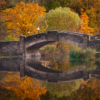 Autumn in the Park_Ryan Kirschner_Assigned Salon Reflections_Honorable Mention