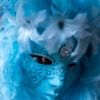 Blue Masquerade_Neil Hunter_Open A_Equal Merit