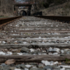 Walking the tracks_Chris Manning_Open A_Equal Merit