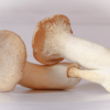 Mushroom Trio_Christine Truhe_Assigned B Macro & CloseUp Food_Equal Merit