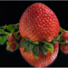 Strawberry_Lenny McDonald_Assigned B Macro & CloseUp Food_Equal Merit