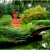 Japanese Park_Wendy Kaplowitz_Open B_Honorable Mention