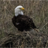 sitting on lunch_Nellie Stolarz_Open A_Honorable Mention