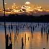 Sunrise at Manasquan Reservoir_Charlene Federowicz_Open B_Honorable Mention