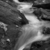 Waterflow_Charlene Federowicz_Assigned B Black & White_Equal Merit