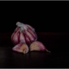 Chesnok Red Garlic_Emma Tager_Assigned B Macro &amp; CloseUp_Equal Merit