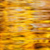 Ripples of Fall_Bill Hansen_Assigned B Abstract_Honorable Mention