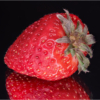 Strawberry_Ryan Kirschner_Assigned Salon Macro & CloseUp_Equal Merit