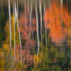 Natalie Gregorio_Fall Reflections_Honorable Mention
