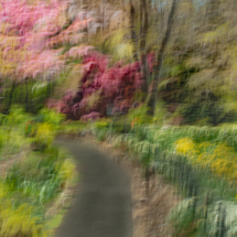 Natalie Gregorio_Path to Paradise_Honorable Mention
