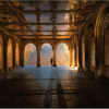 Peter Smejkal_Bethesda Arcade_Honorable Mention