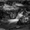 Emma Tager_Flowing water at the Ravine_Honorable Mention