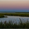 Ellen Stein_Blue Hour Bombay Hook NWR_Honorable Mention