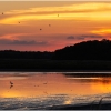 Ellen Stein_Bombat Hook NWR Sunset_Honorable Mention