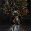 Ellen Stein_Fearless Girl and NYSE Tree_Equal Merit