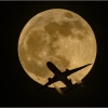 Al Figuccio_Full Moon Flight_Equal Merit_Open B_20240429