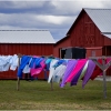 Arlene Sopranzetti_Laundry Day_Honorable Mention_Open Salon_20240429