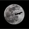 Arlene Sopranzetti_Night Flight_Equal Merit_Assigned Salon - Transportation_20241007