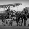 Ellen Stein_Funeral Wagon_Equal Merit_Assigned Salon - Transportation_20241007