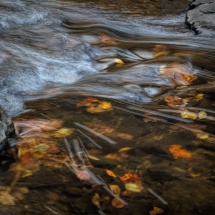 Ellen Stein_Rushing Waters_Honorable Mention_Assigned Salon Water In Any Form_20260223