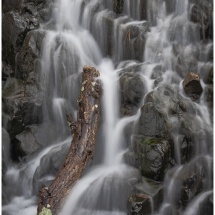 Fernando Gomes_Runoff_Equal Merit_Assigned A - Water In Any Form_20260223