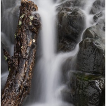 Fernando Gomes_Waterlogged_Honorable Mention_Assigned A - Water In Any Form_20260223