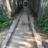 Francine Silver_Dead End Tunnel_Honorable Mention_Assigned B - Leading Lines_20251124