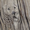Francine Silver_Lion of the Boardwalk_Honorable Mention_Assigned B - Abstract_20260126