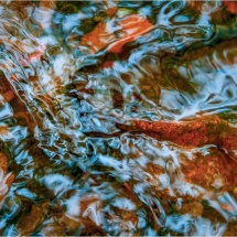 Lenny McDonald_Autumn Water_Honorable Mention_Assigned Salon Water In Any Form_20260223