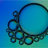 Lenny McDonald_Bubbles & Lights_Equal Merit_Assigned Salon - Abstract_20260126