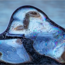 Lenny McDonald_Pond Ice_Equal Merit_Open Salon_20260223