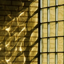 DSC03896- glass wall